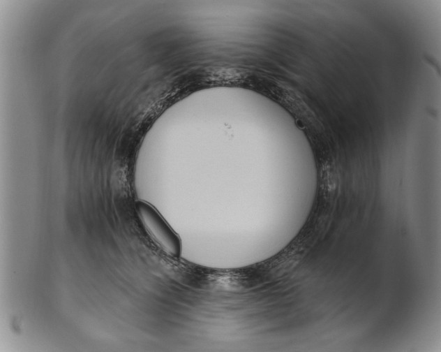 X0000100750564200807101706