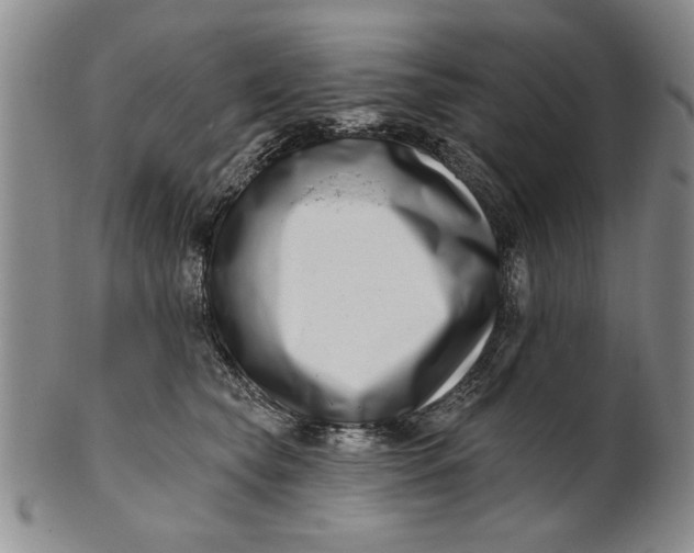 X0000100750565200807101706