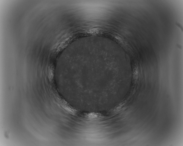 X0000100750566200807101706