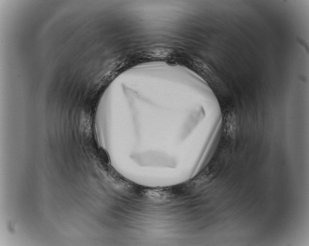 X0000100750568200807101706