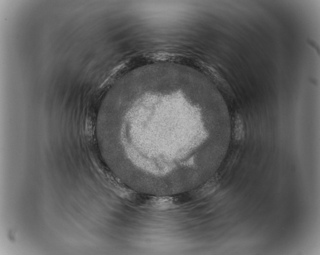 X0000100750569200807101706