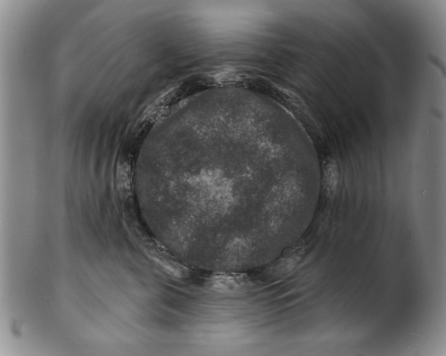 X0000100750571200807101706