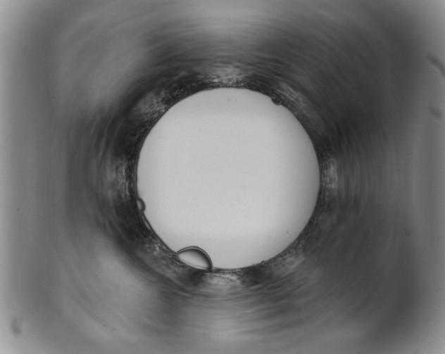 X0000100750572200807101706