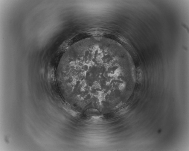 X0000100750573200807101706