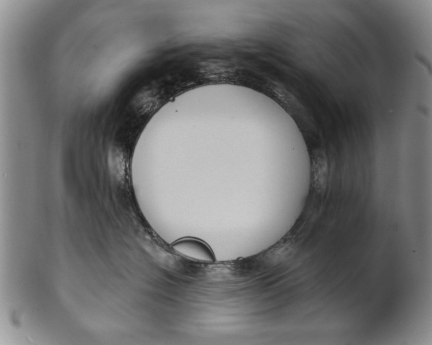 X0000100750574200807101706