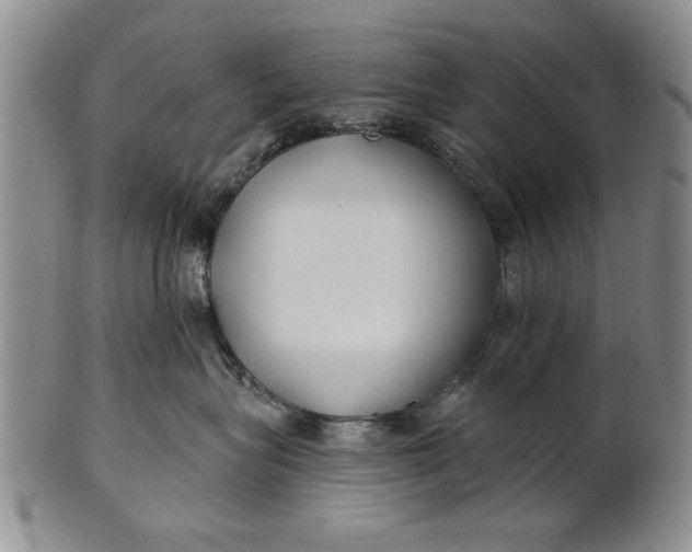 X0000100750575200807101706