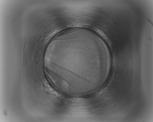 X0000100750577200807101705