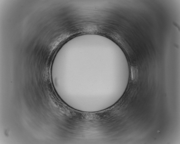 X0000100750579200807101705