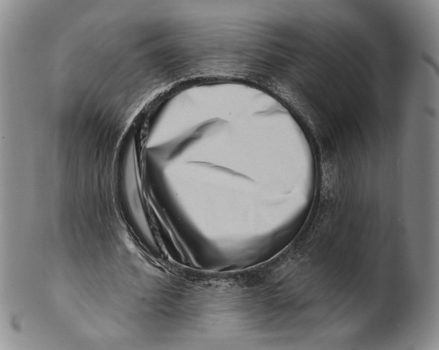 X0000100750580200807101705