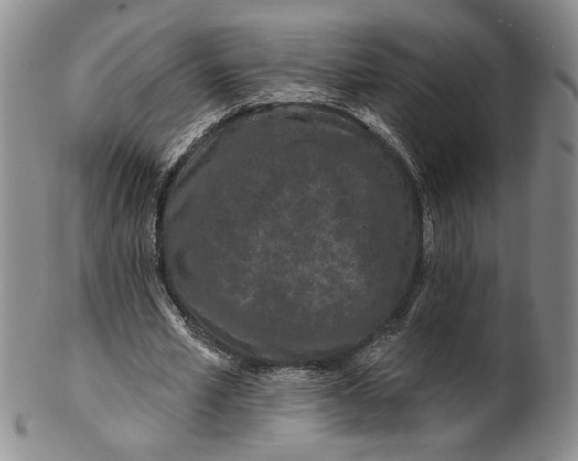 X0000100750581200807101705