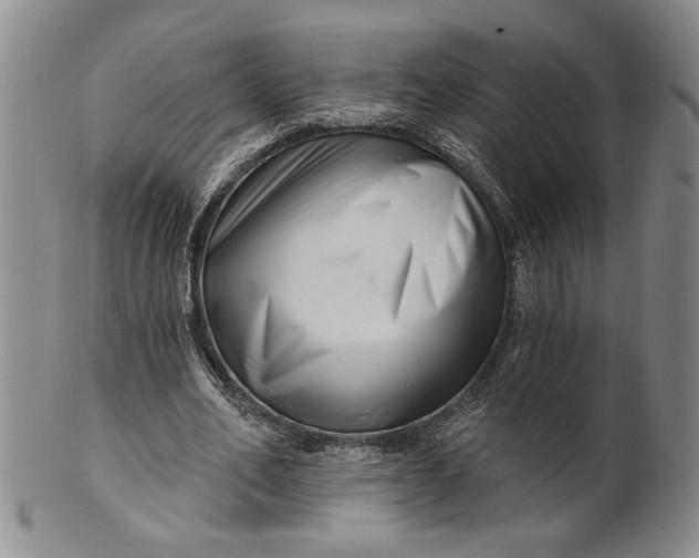 X0000100750582200807101705