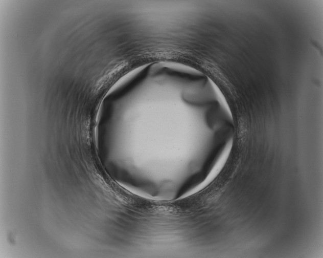 X0000100750585200807101705