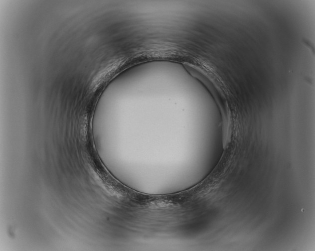 X0000100750586200807101705