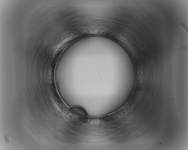 X0000100750587200807101705