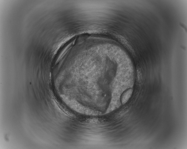 X0000100750588200807101705