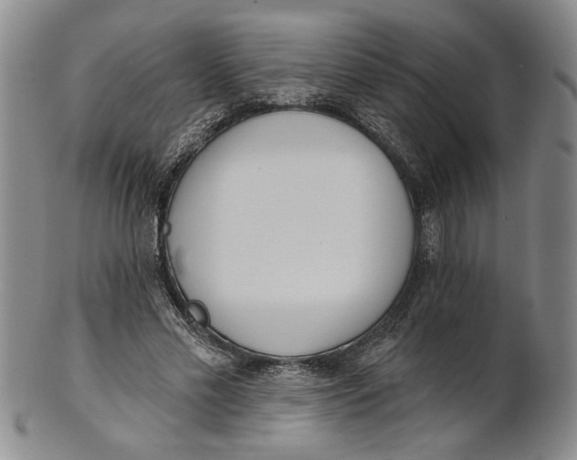 X0000100750589200807101705