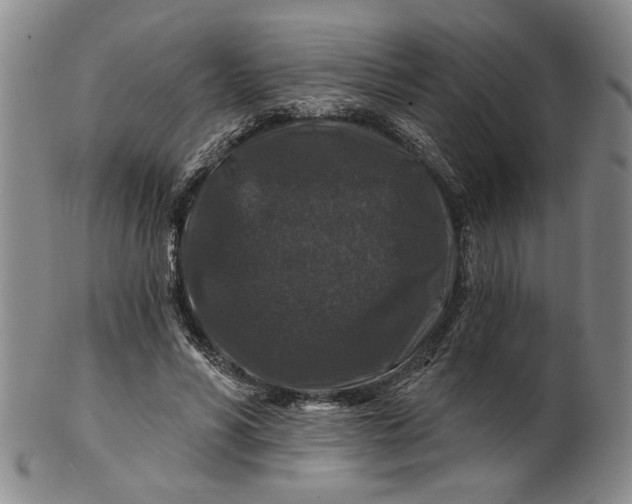 X0000100750590200807101705