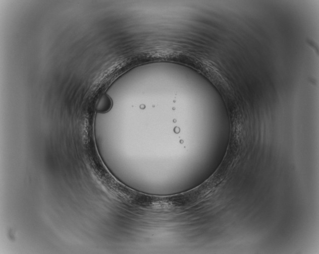 X0000100750591200807101705