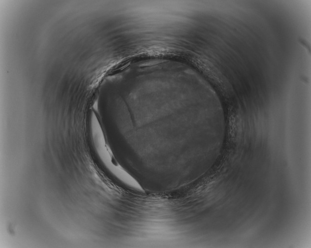 X0000100750592200807101705