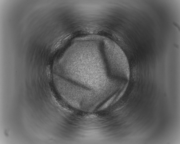 X0000100750594200807101705