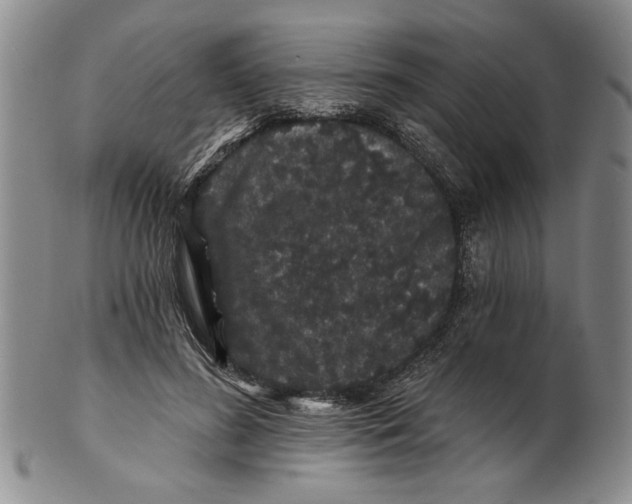 X0000100750596200807101705