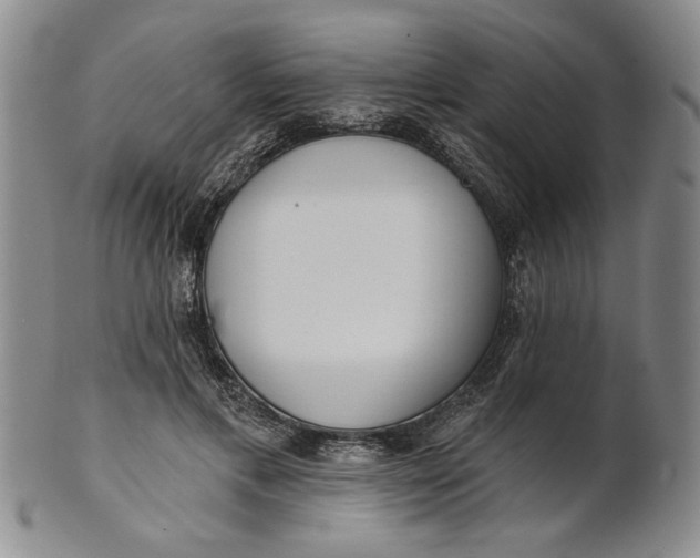 X0000100750597200807101705