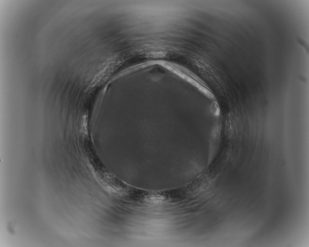 X0000100750598200807101705