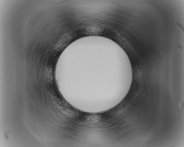 X0000100750599200807101705