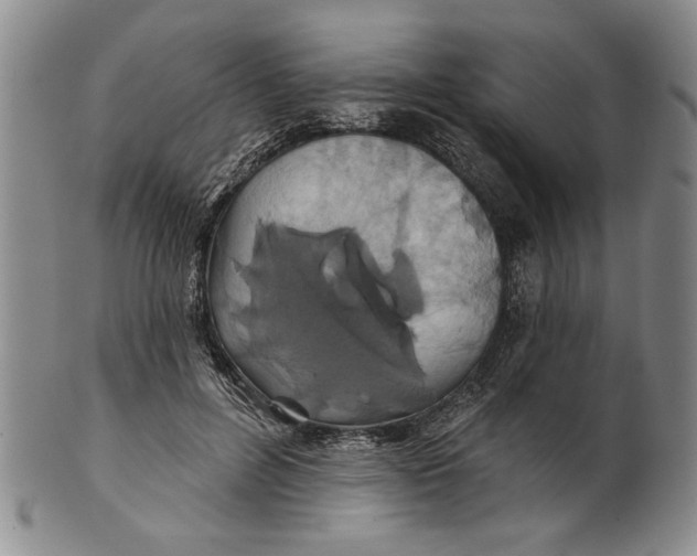 X0000100750600200807101705