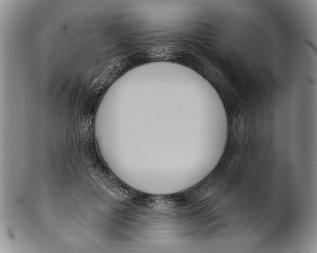 X0000100750601200807101705