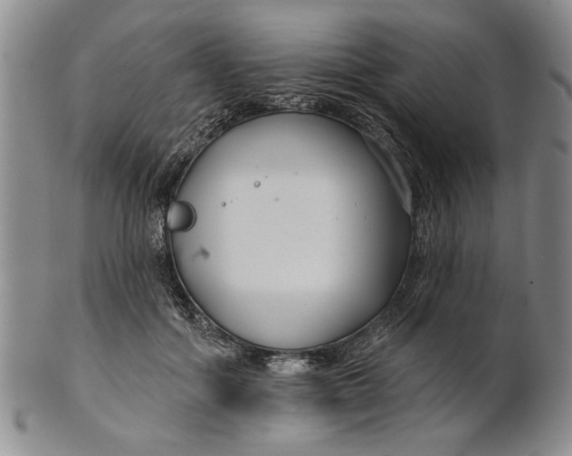 X0000100750602200807101705