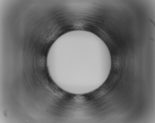 X0000100750603200807101705