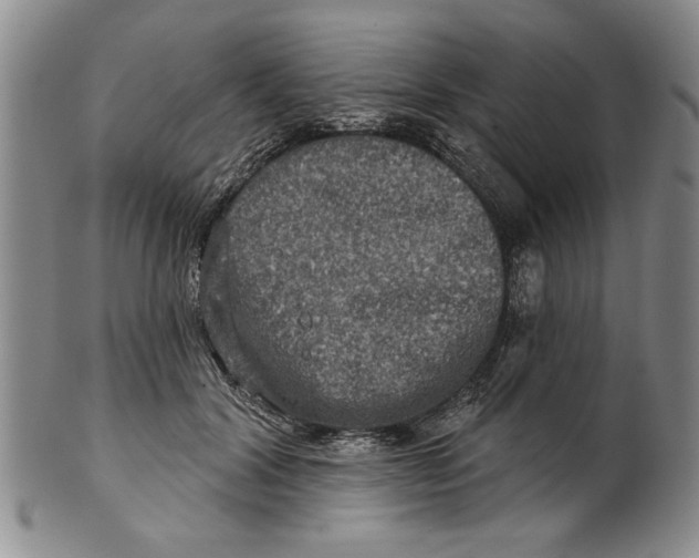 X0000100750604200807101705