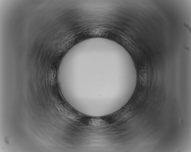 X0000100750605200807101705