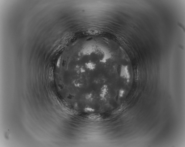 X0000100750606200807101705