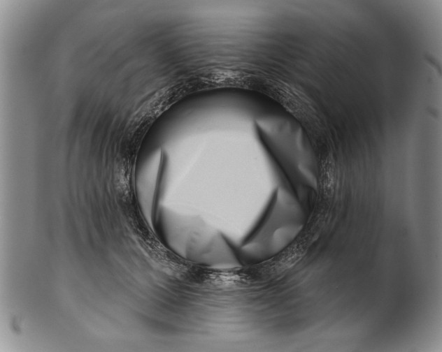 X0000100750607200807101705