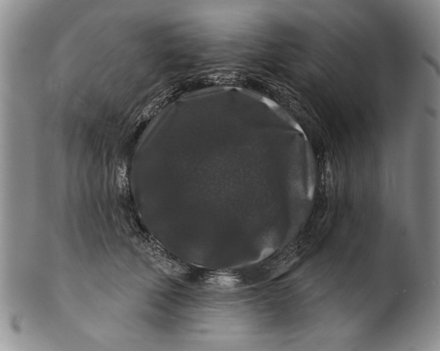 X0000100750610200807101705