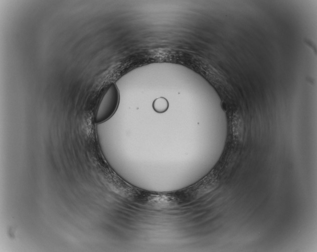 X0000100750611200807101705