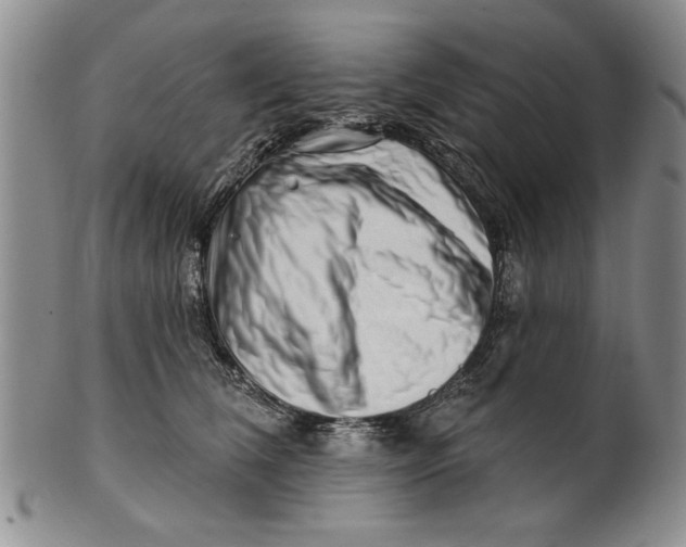 X0000100750612200807101705