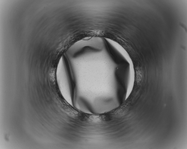 X0000100750613200807101705