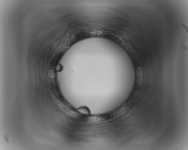 X0000100750614200807101705