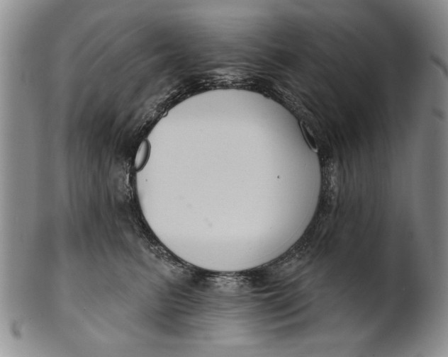 X0000100750615200807101705