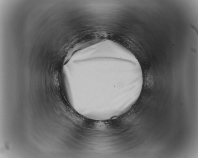 X0000100750616200807101705