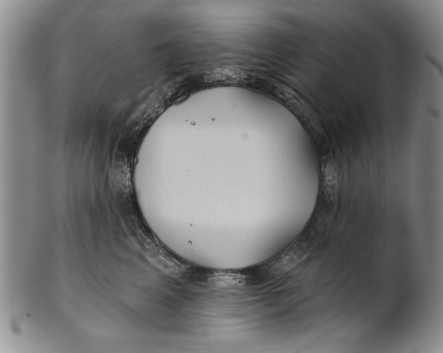 X0000100750617200807101705