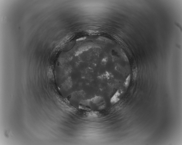 X0000100750618200807101705