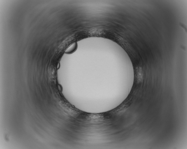 X0000100750619200807101705