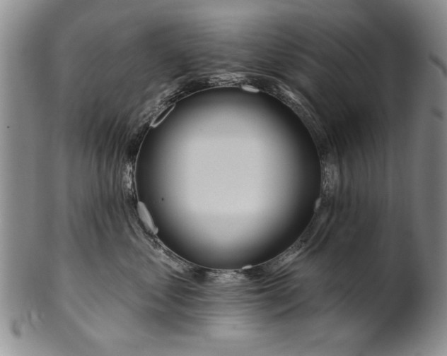 X0000100750621200807101705