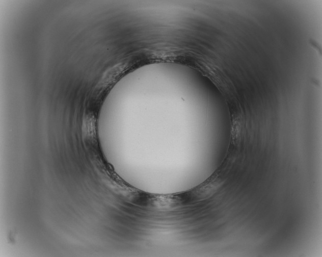 X0000100750623200807101705