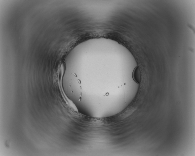 X0000100750624200807101705