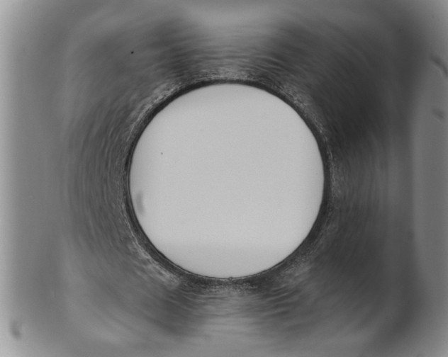 X0000100750625200807101704